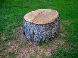 Best Tree Removal  in Osburn, ID