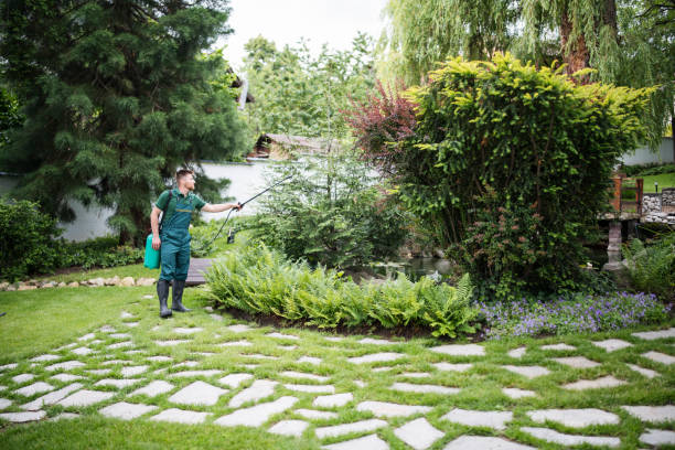 Best Sod Installation  in Osburn, ID