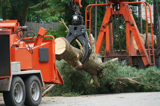 Best Lawn Maintenance Plans  in Osburn, ID